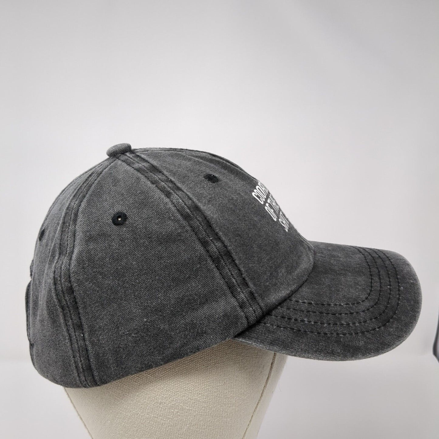 Coordinator of The Entire S**t Show Slideback Hat Gray OS Adjustable 6 Panel