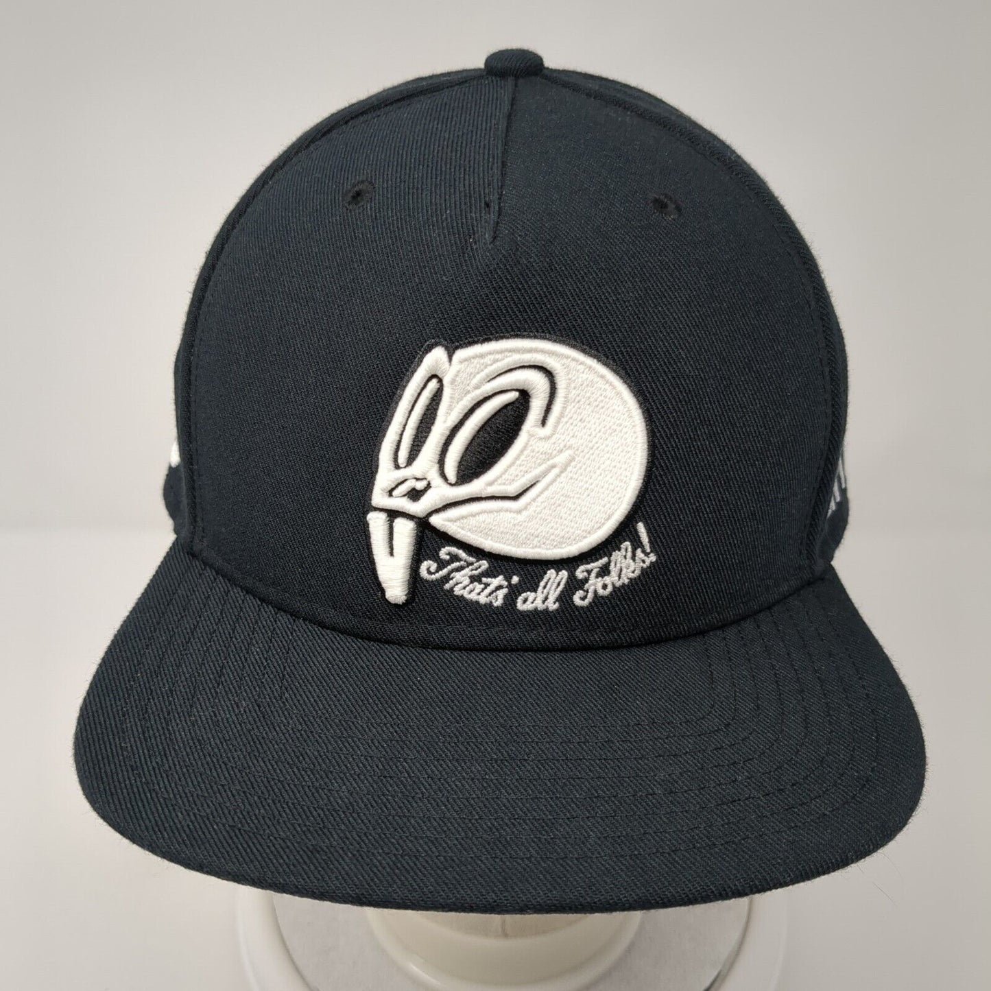 Nike Jordan Snapback Hat That's All Folks! Skull Looney Tunes Space Jam Jumpman