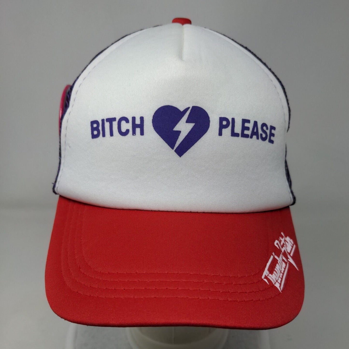 B*tch Please Snapback Mesh Back Trucker Hat Multi One Size Pin Colorblock