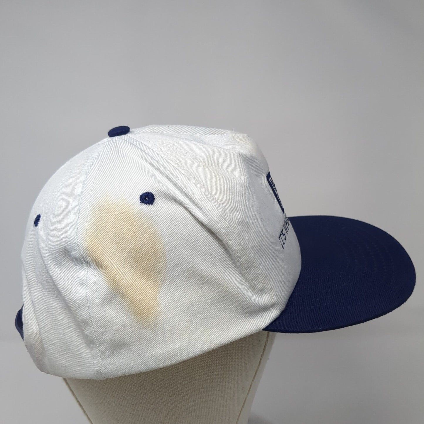 Bee It's What You Want Snapback Hat Multicolor One Size Adjustable Embroidered