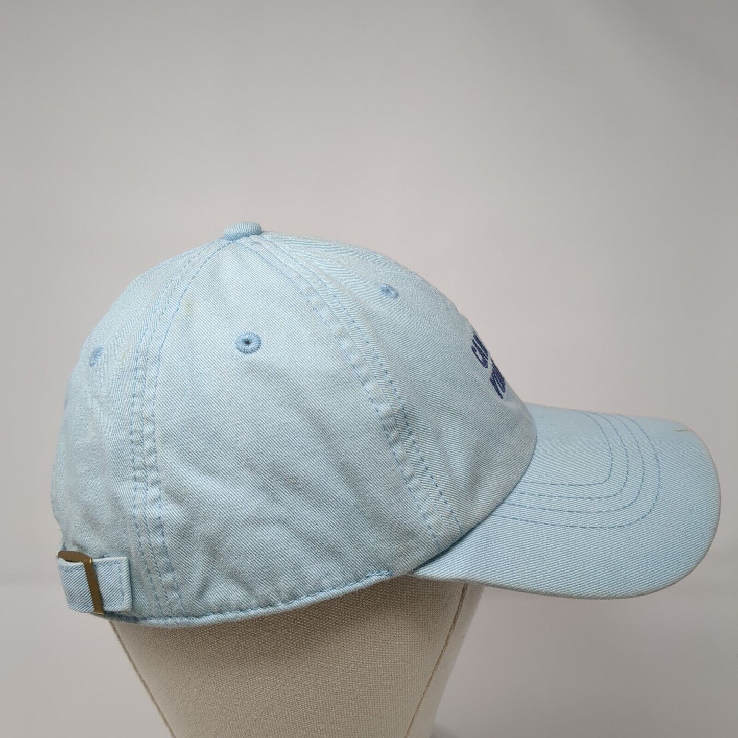 Can I Pet Your Dog? Slideback Hat Blue One Size Adjustable State Of Mine