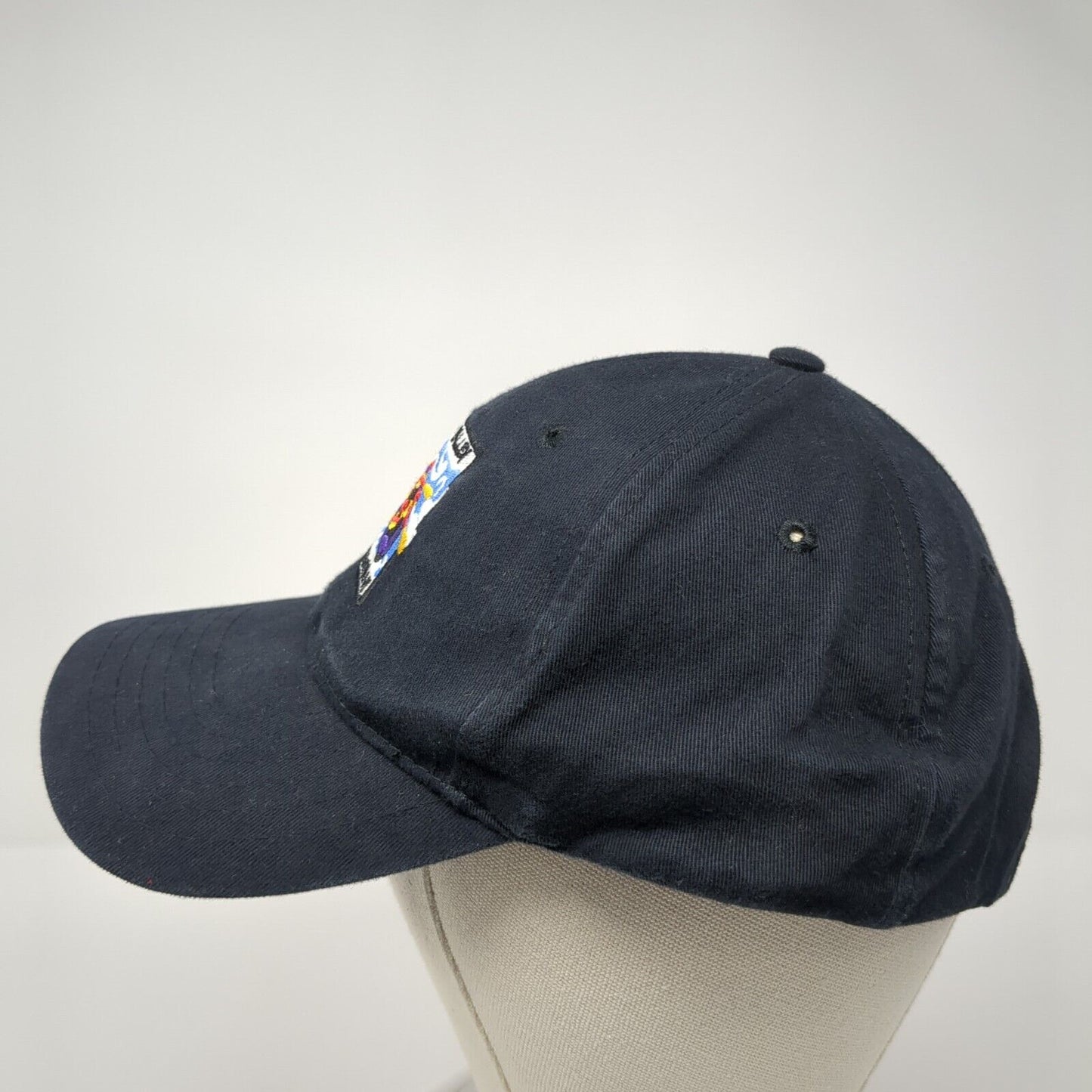 Bear Valley River Company Snapback Hat Blue One Size Adjustable Embroidered