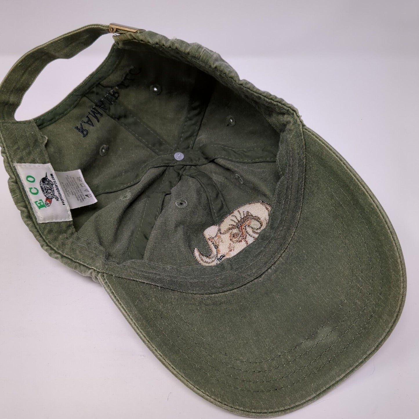 Ramair LLC Slideback Hat Green One Size Adjustable Embroidered 6 Panel ECO