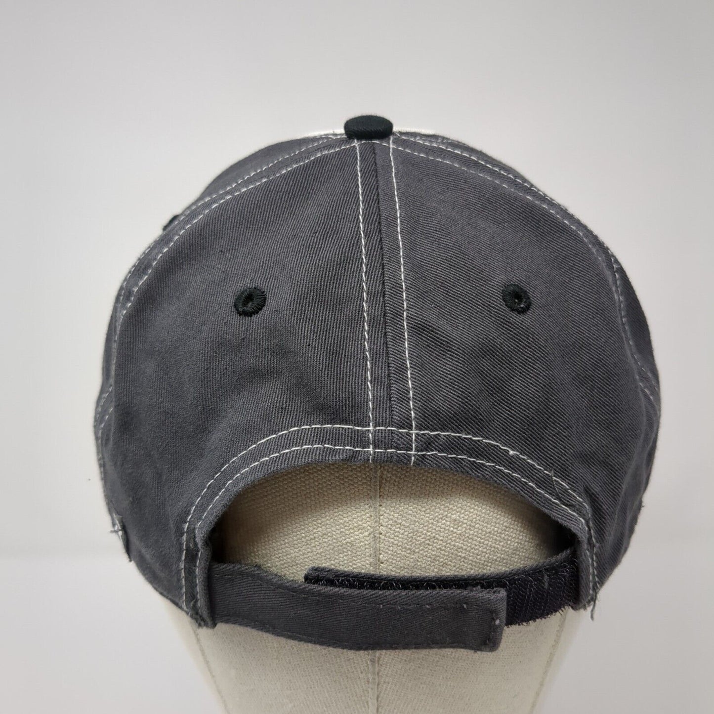 Plexus Worldwide Strapback Hat Gray One Size Adjustable Embroidered Richardson
