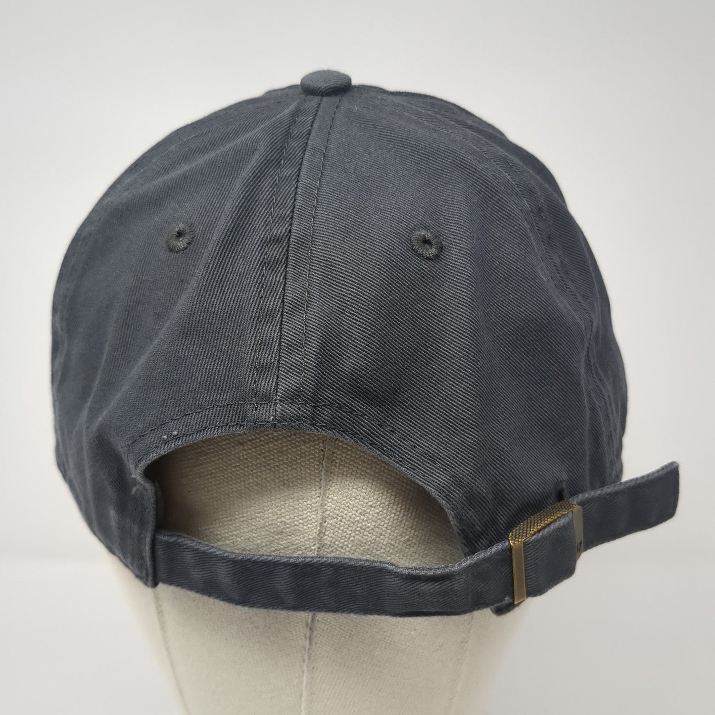 Vivid Roots Slideback Hat Gray One Size Adjustable Embroidered '47
