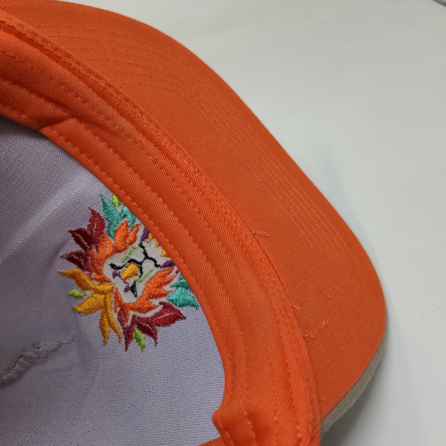 San Diego Zoo Colorful Lion Snapback Hat Tan One Size Embroidered