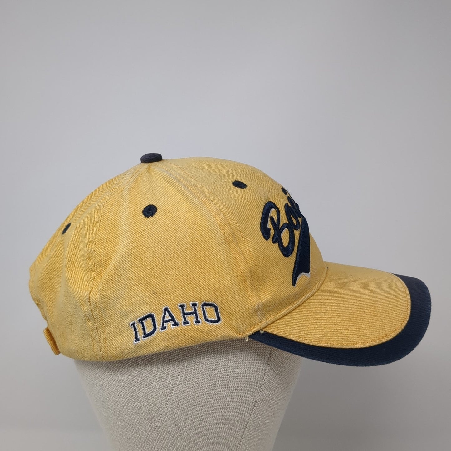 Boise Idaho Strapback Hat Multi One Size Embroidered Colorblock Fahrenheit