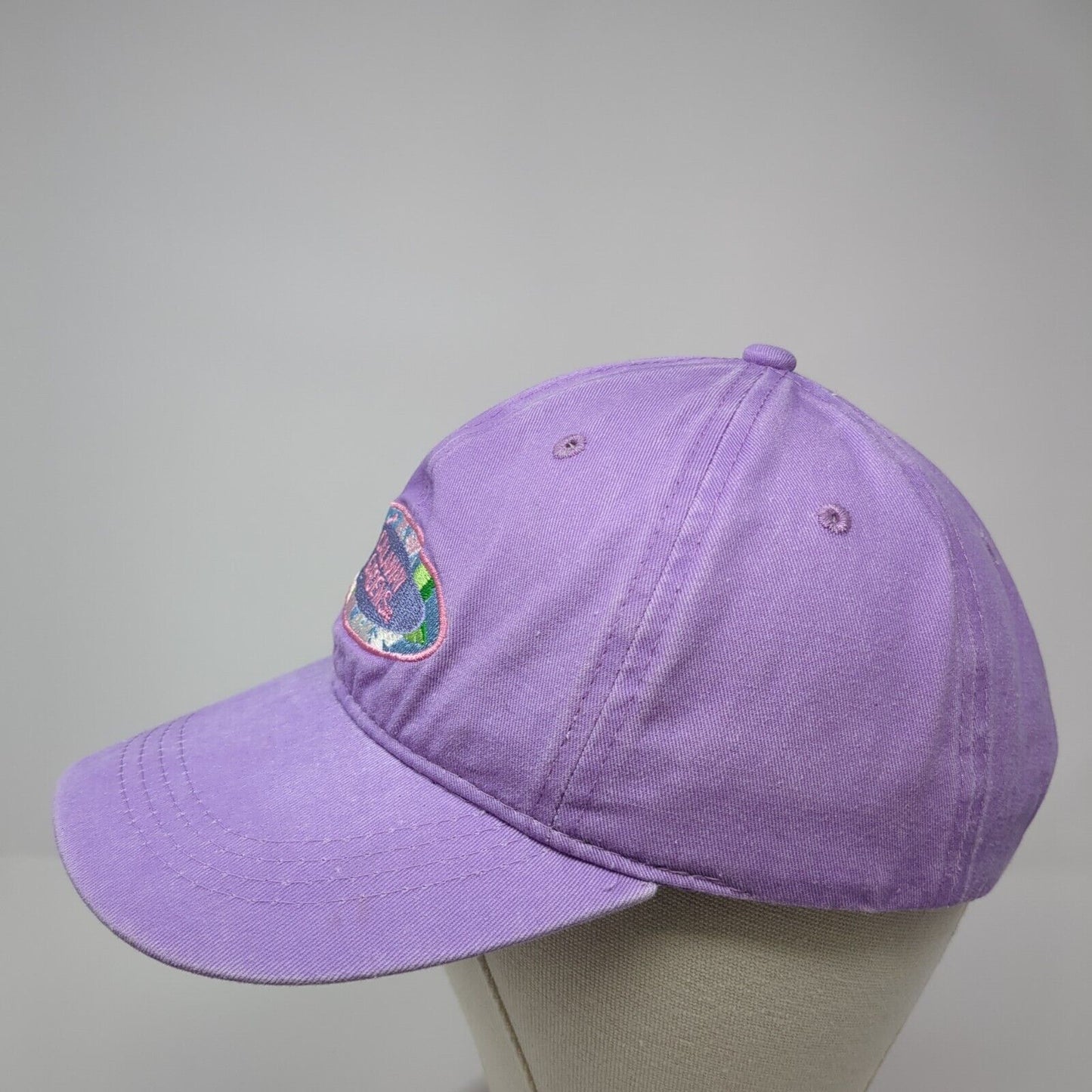 Callaway Gardens Strapback Hat Purple One Size Adjustable Jacobson