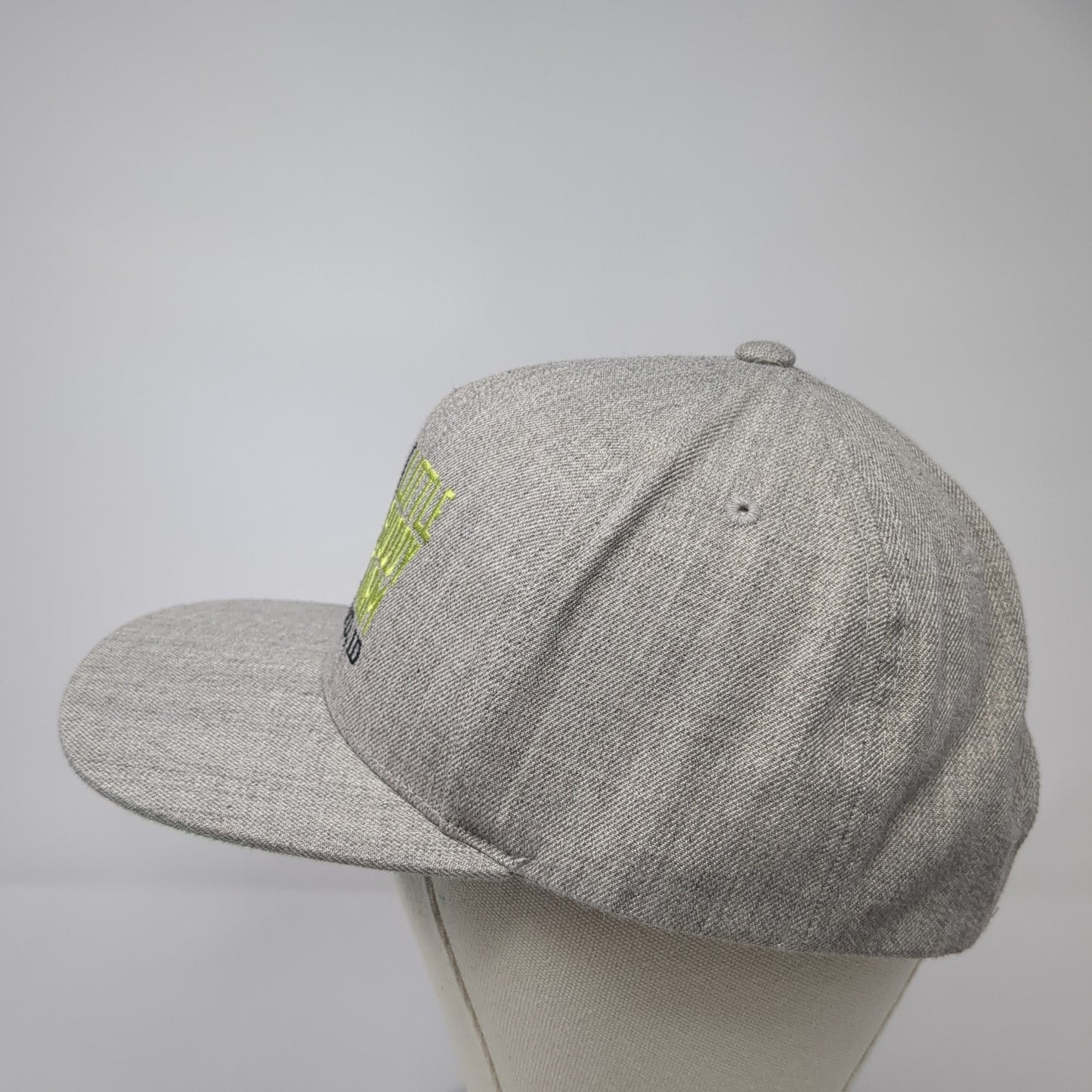 Little Buddy Farm Fruitland ID Snapback Hat Gray One Size Adjustable