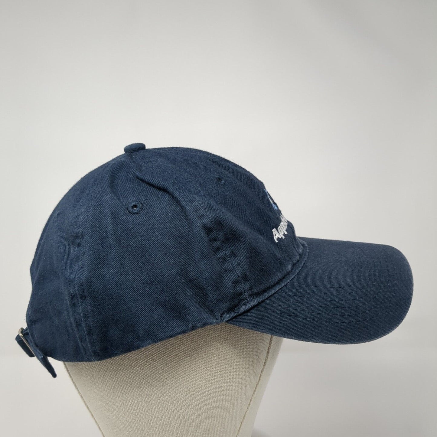 AppHosting Slideback Hat Blue One Size Adjustable Embroidered Port & Company