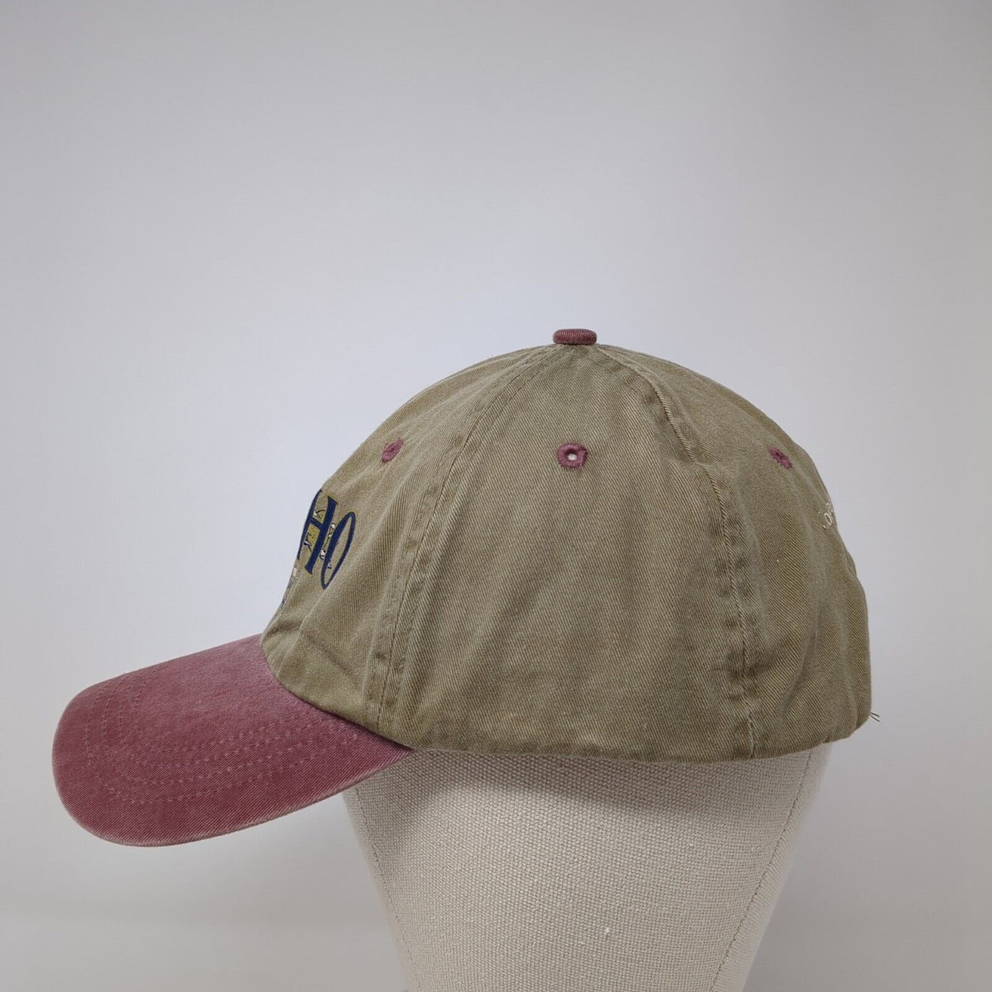 Idaho Slideback Hat Multicolor One Size Cougar Mountain Lodge Cameo