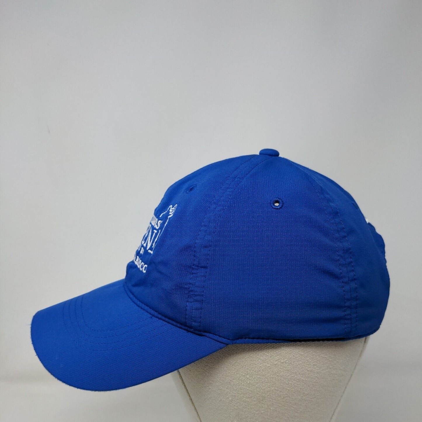 Albertsons Boise Open Presented by Kraft Nabisco Strapback Hat Blue OSFM Nike