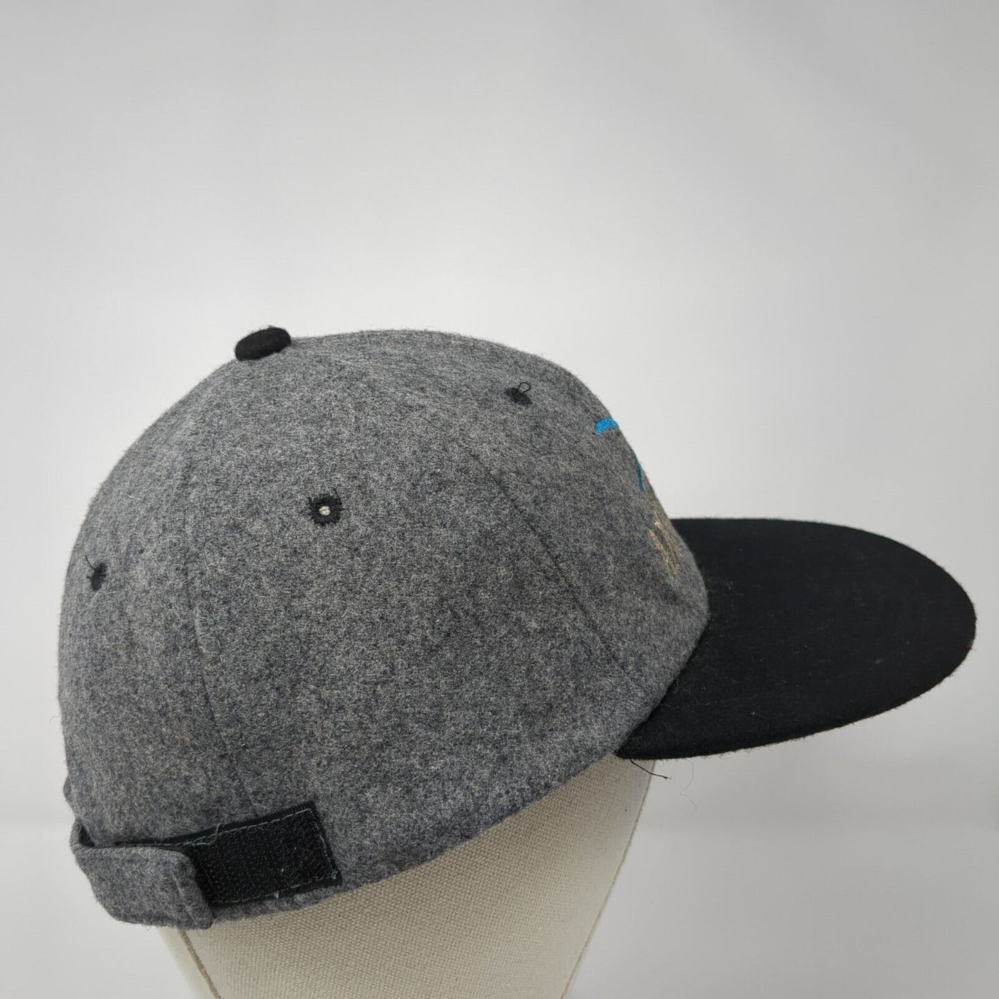 Anthony Lakes Strapback Hat Gray One Size Adjustable Embroidered 6 Panel CSI