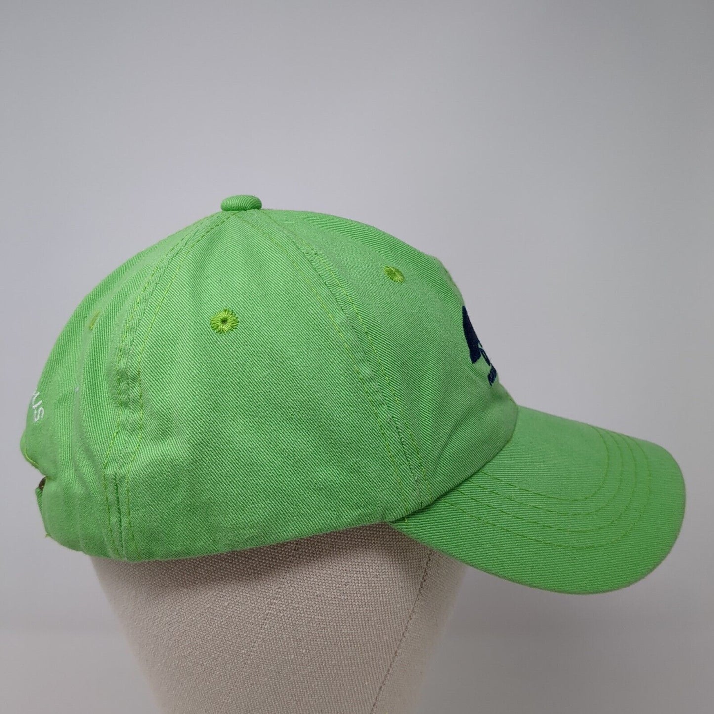 Desert Canyon Mountain Home Idaho Slideback Hat Green OS Adjustable Town Talk