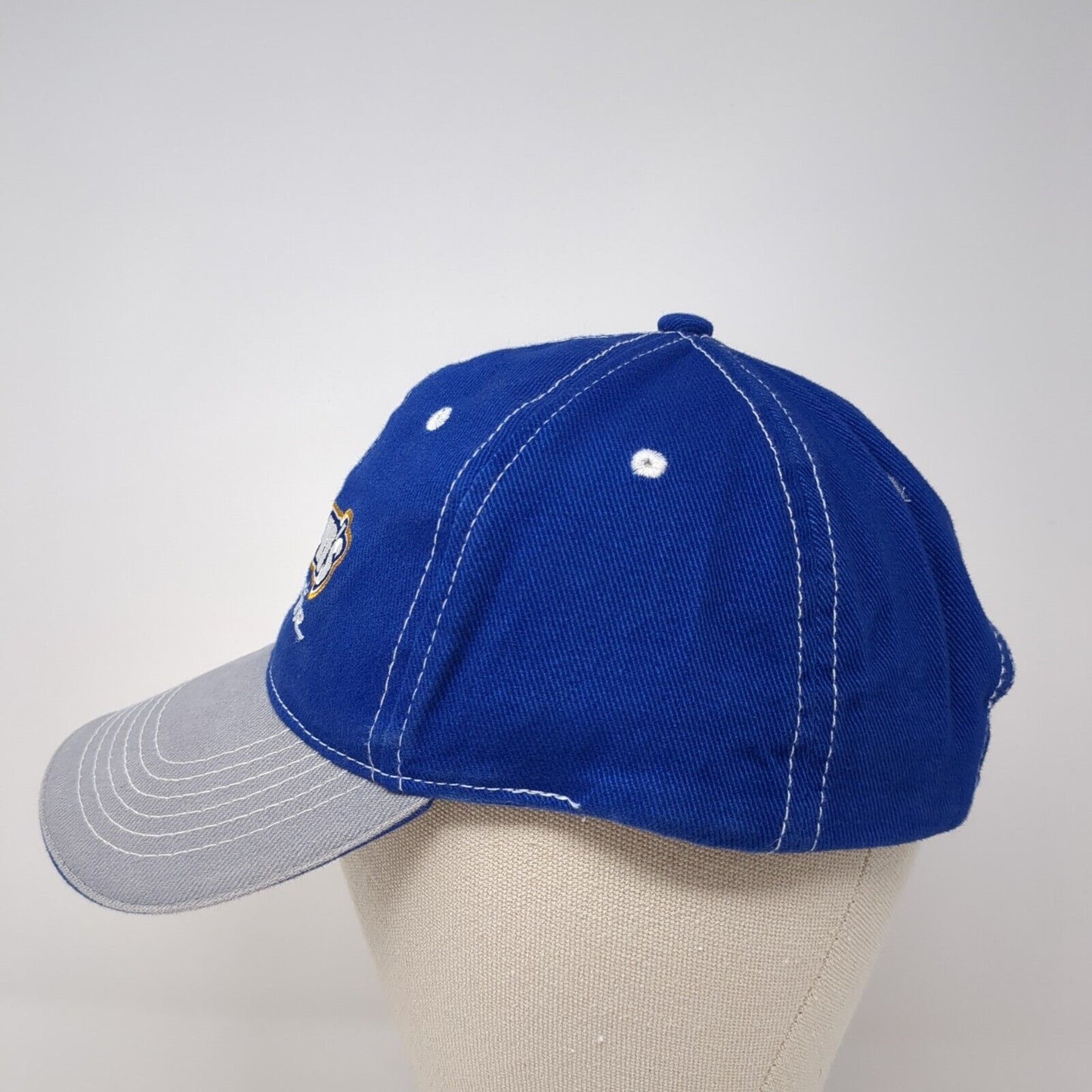 Aaron's Dream Machine Strapback Hat Blue One Size Adjustable Embroidered Cotton