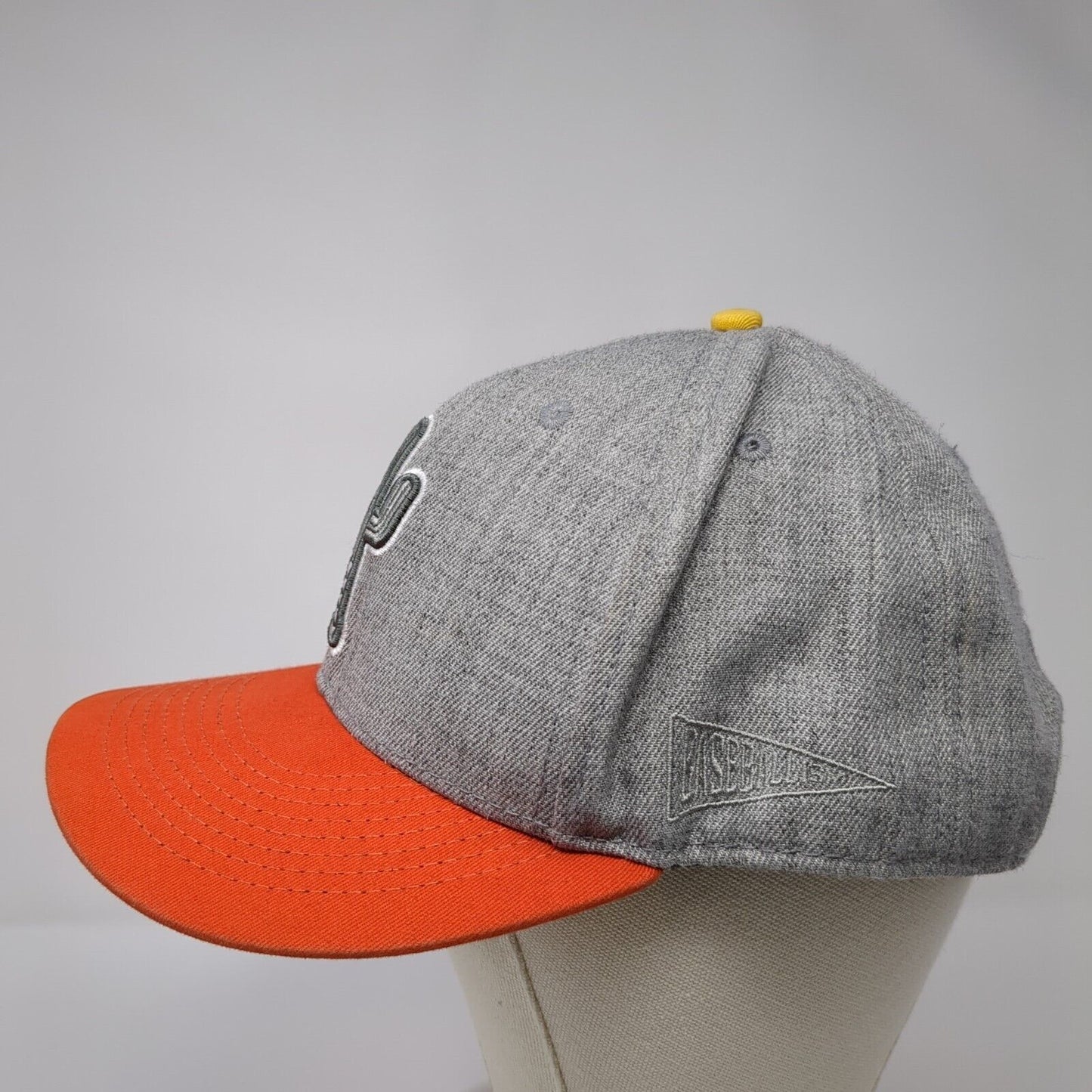 Baseballism Snapback Hat Gray Embroidered Limited Edition Spring 2020 Cactus