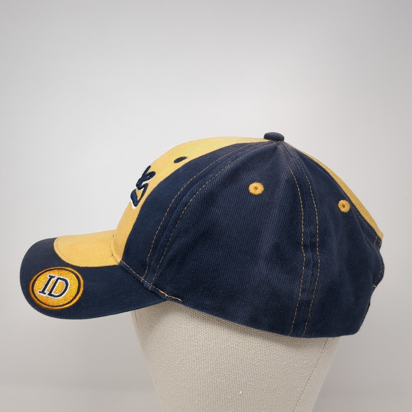 Boise Idaho Strapback Hat Multi One Size Embroidered Colorblock Fahrenheit