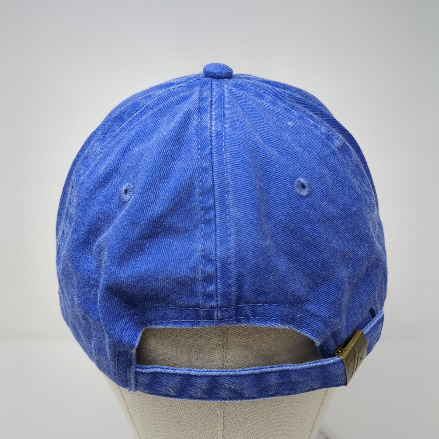 Beehive Cheese Slideback Hat Blue One Size Adjustable Embroidered HG