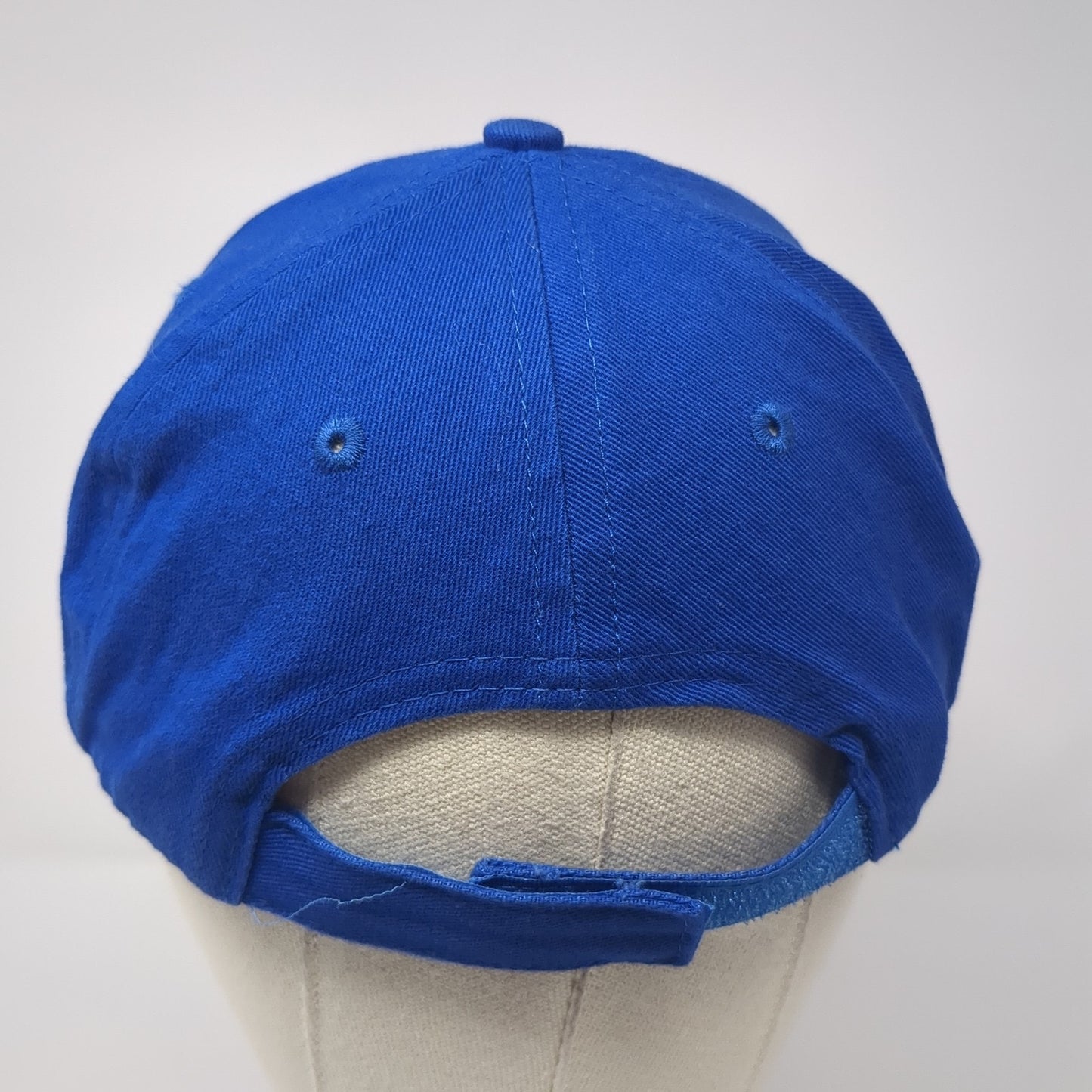 Paris Acti-Labs Strapback Baseball Cap Blue Large Adjustable Embroidered 6 Panel