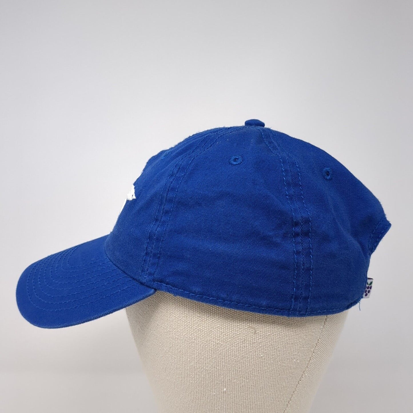 Cape Cod Slideback Hat Blue One Size Adjustable Embroidered Solt As A Grape
