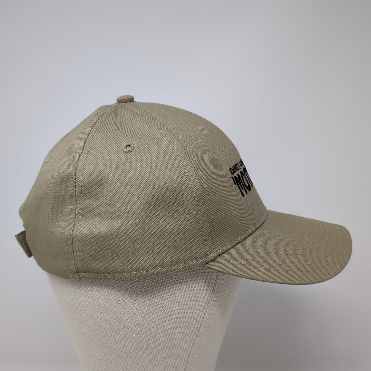 Idaho's Largest Car Show Motorfest Boise Strapback Hat Brown One Size