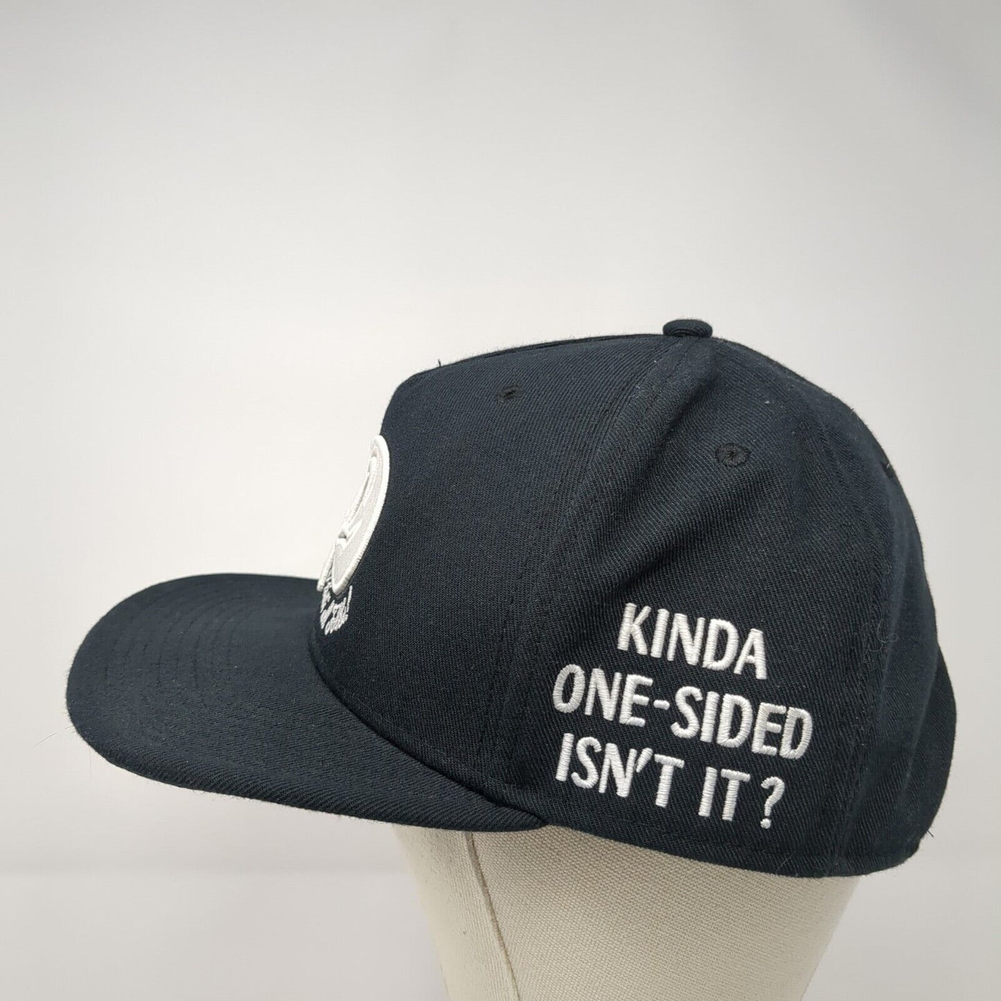 Nike Jordan Snapback Hat That's All Folks! Skull Looney Tunes Space Jam Jumpman