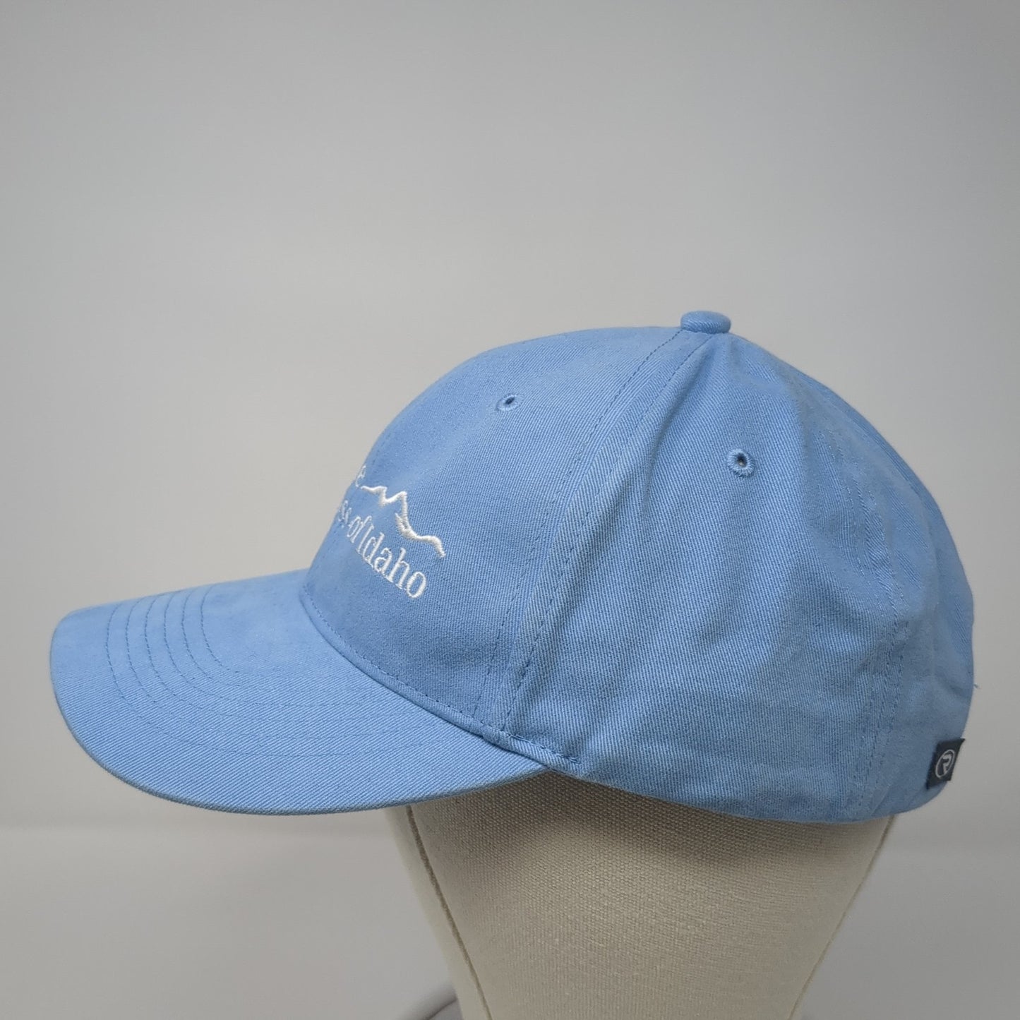 Blue Cross of Idaho Strapback Hat Blue One Size 6 Panel Richardson