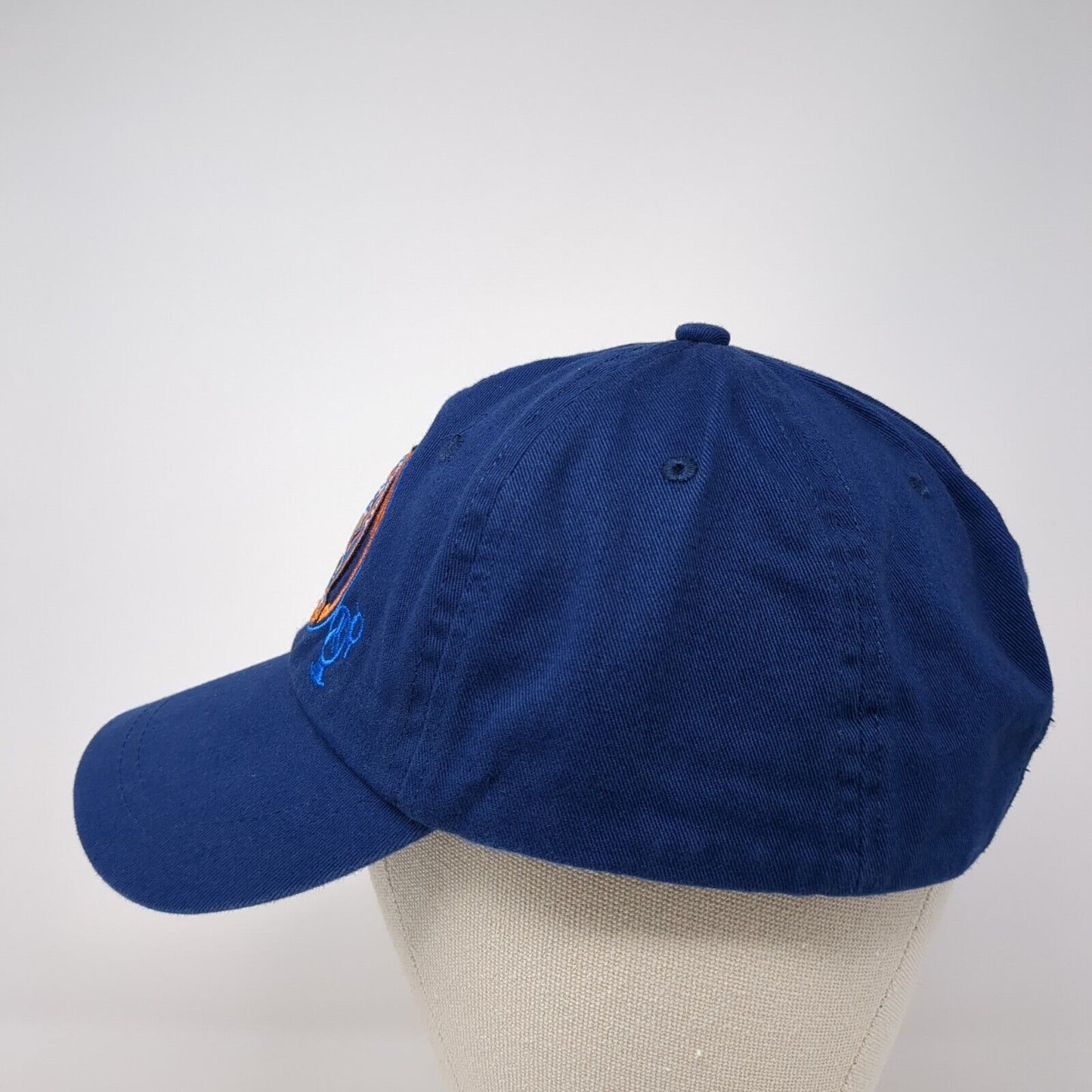 Guardians Of The Galaxy Bite Rocket Slideback Hat Blue OS Adjustable Marvel