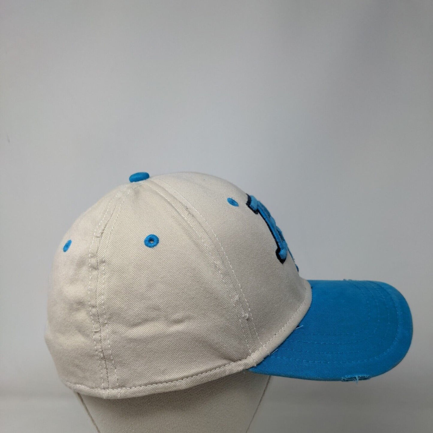 American Eagle Outfitters Fitted Hat Multicolor L/XL Embroidered 6 Panel