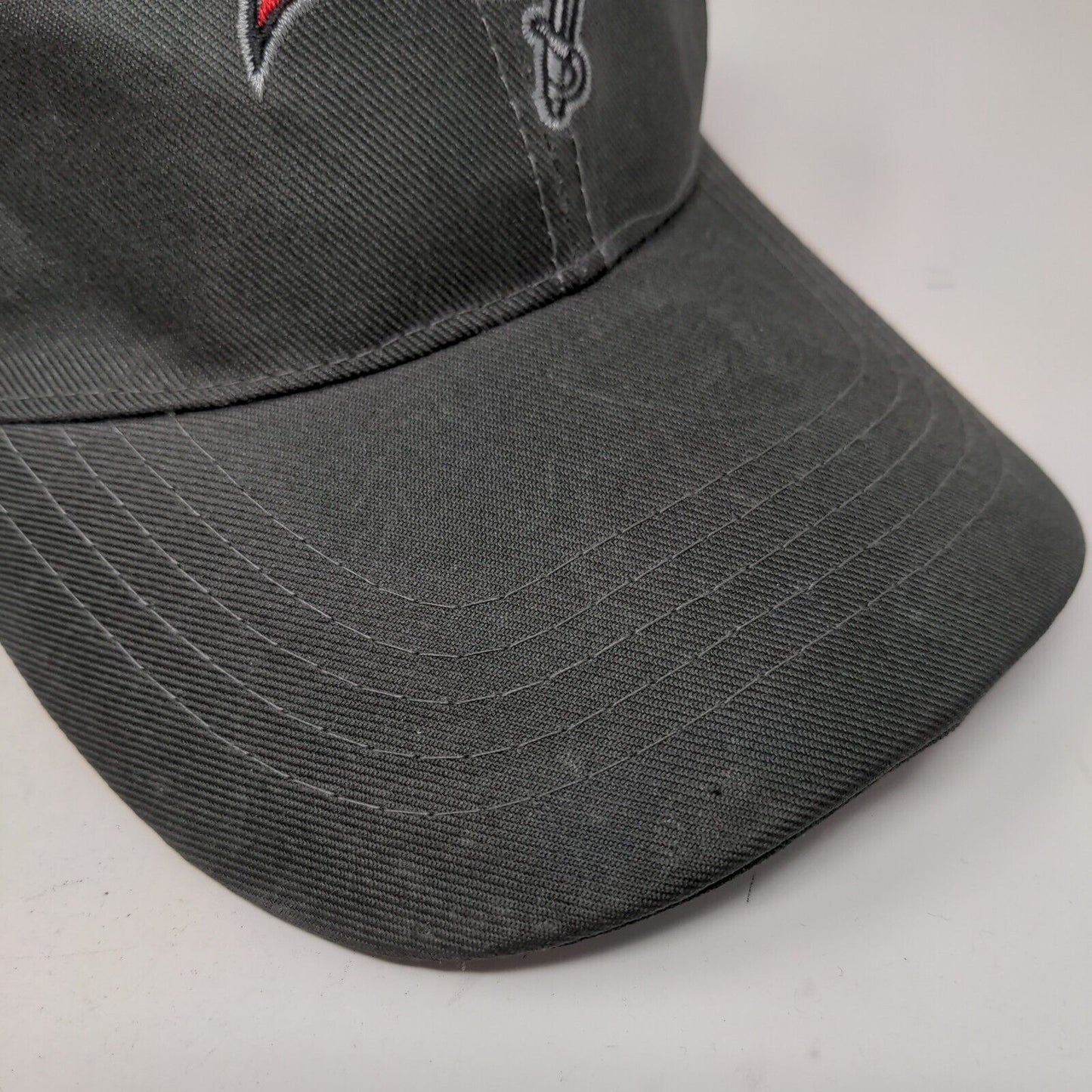 Tampa Bay Buccaneers Strapback Hat Gray Embroidered Logo Raymond James