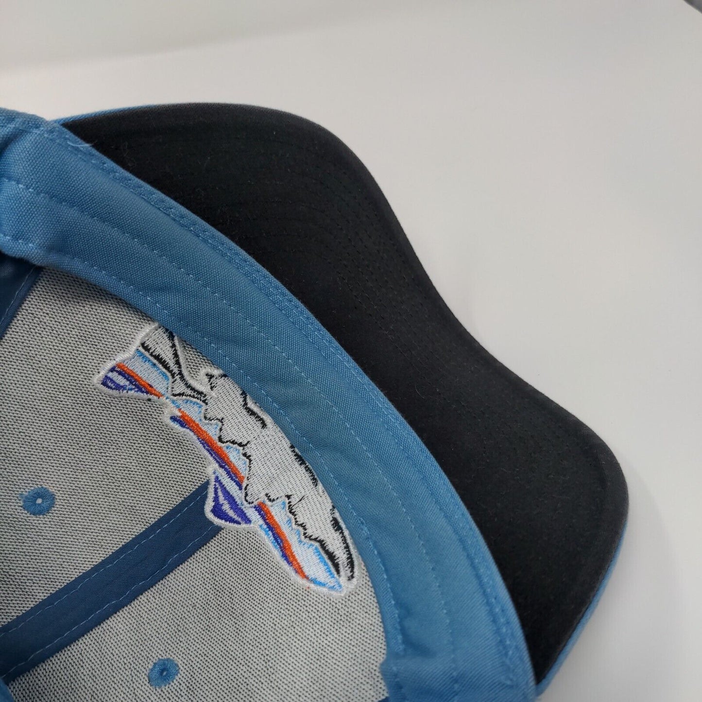 Patagonia Snapback Trucker Hta Blue OSFA Adjustable Embroidered Fish Mesh Back