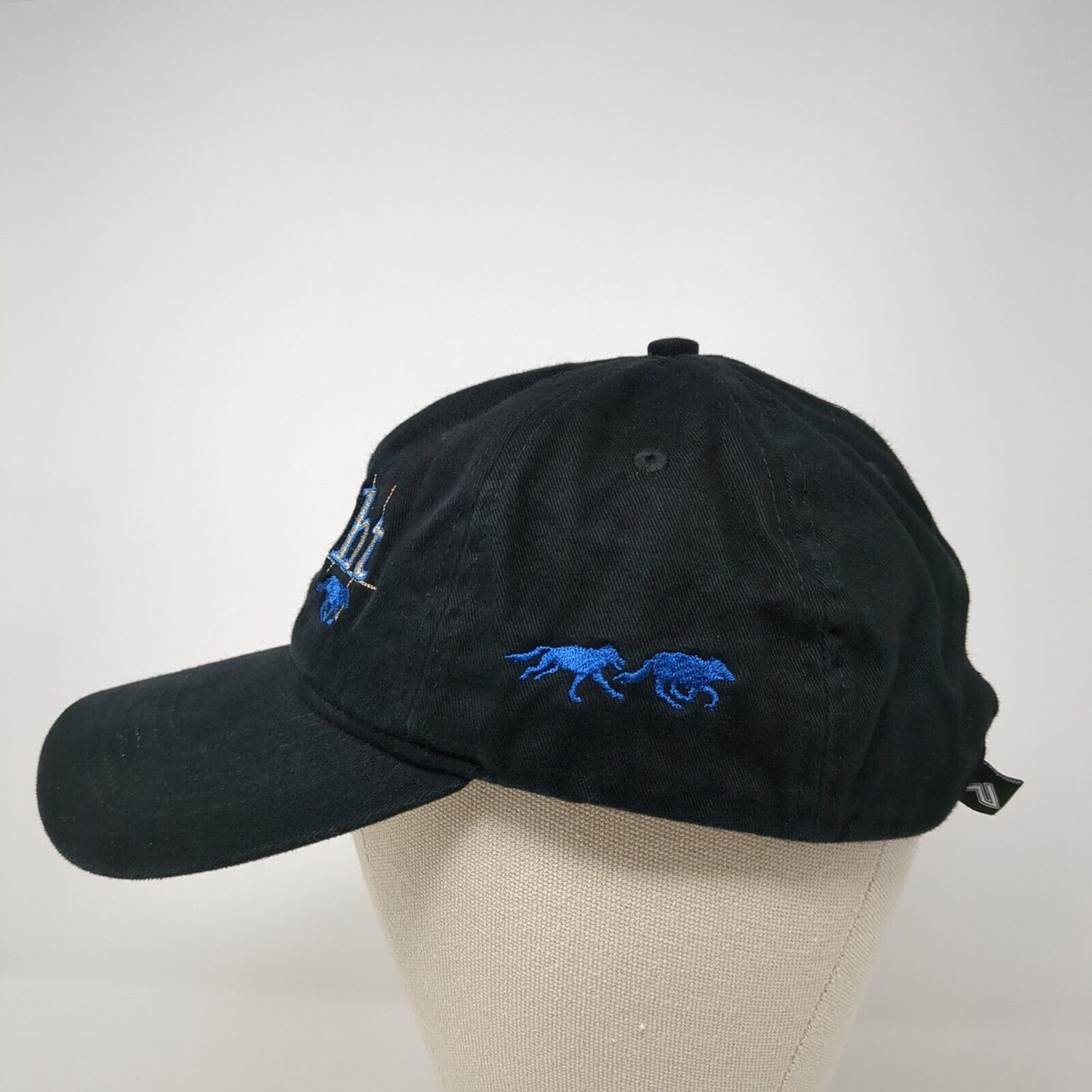 Alaska Twilight Strapback Hat Black One Size Petersburg Pacific Headwear