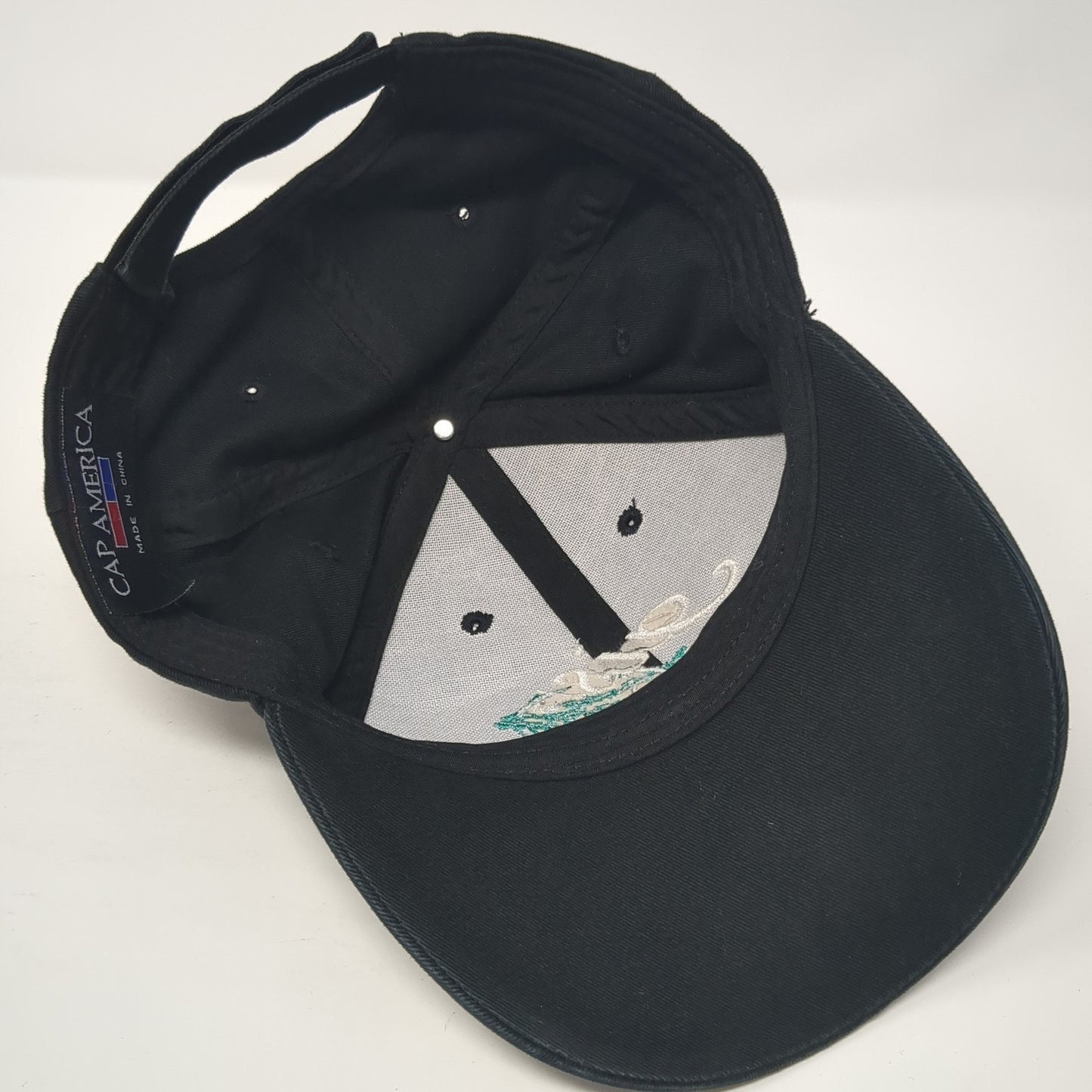 GIS Geography Strapback Hat Black One Size Adjustable Cap America