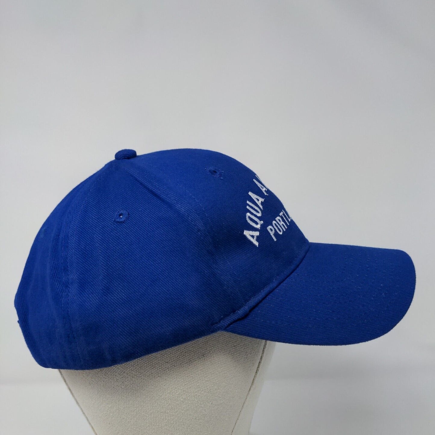 Aqua American Portland OR Strapback Hat Blue OSFM Otto Collection