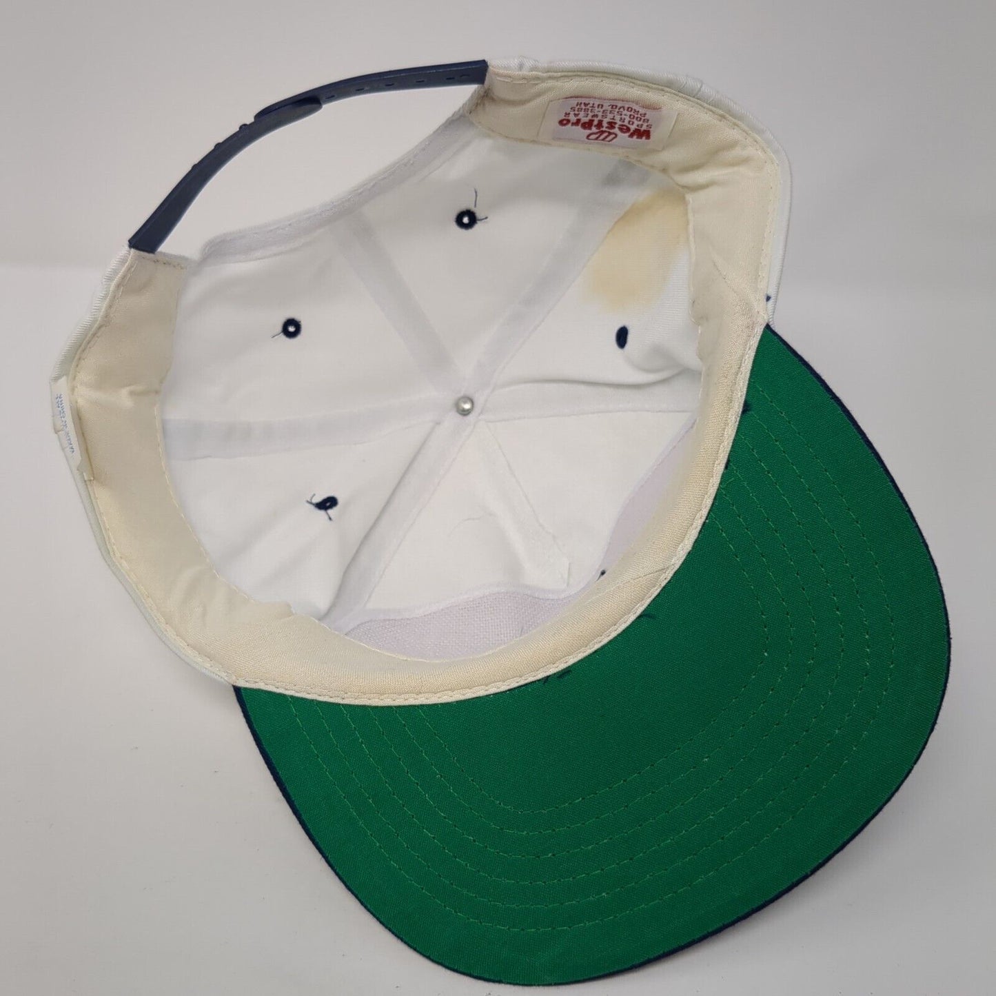 Bee It's What You Want Snapback Hat Multicolor One Size Adjustable Embroidered