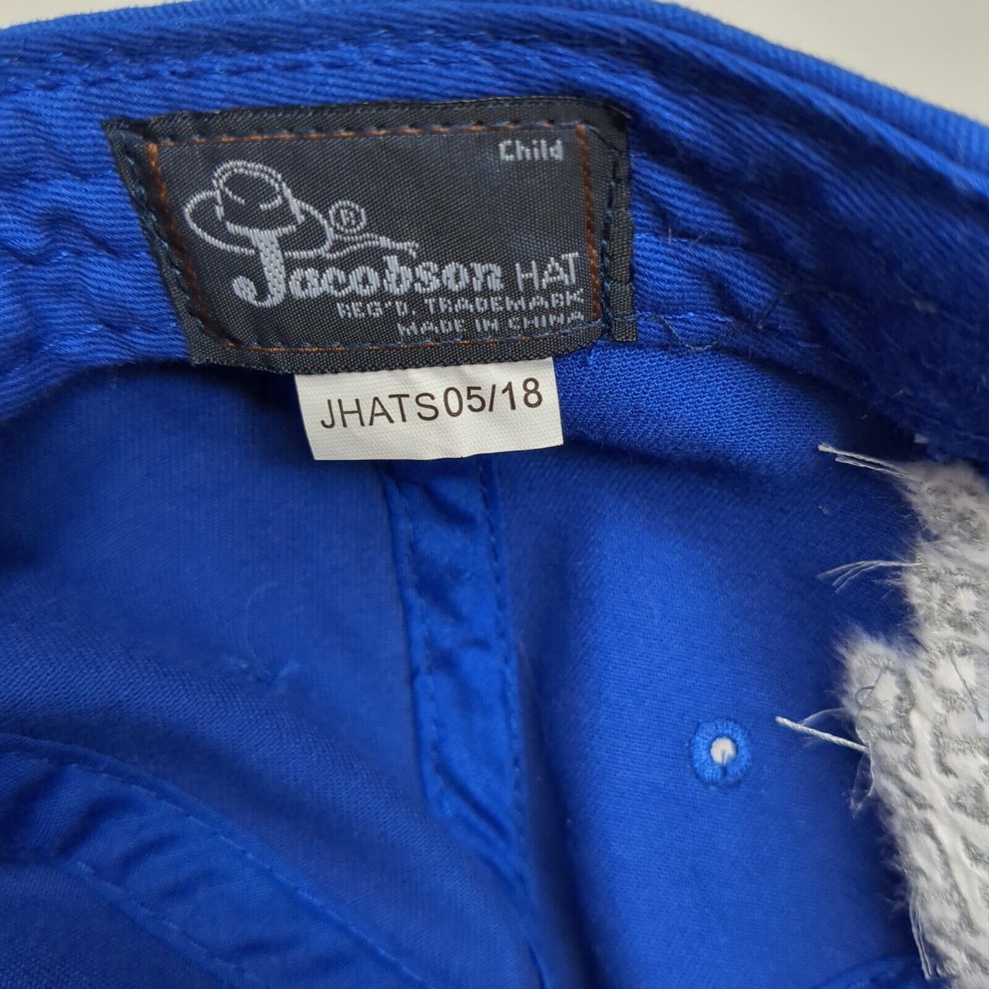 #TeamFiona Strapback Hat Blue Child One Size Cincinnati Zoo Jacobson