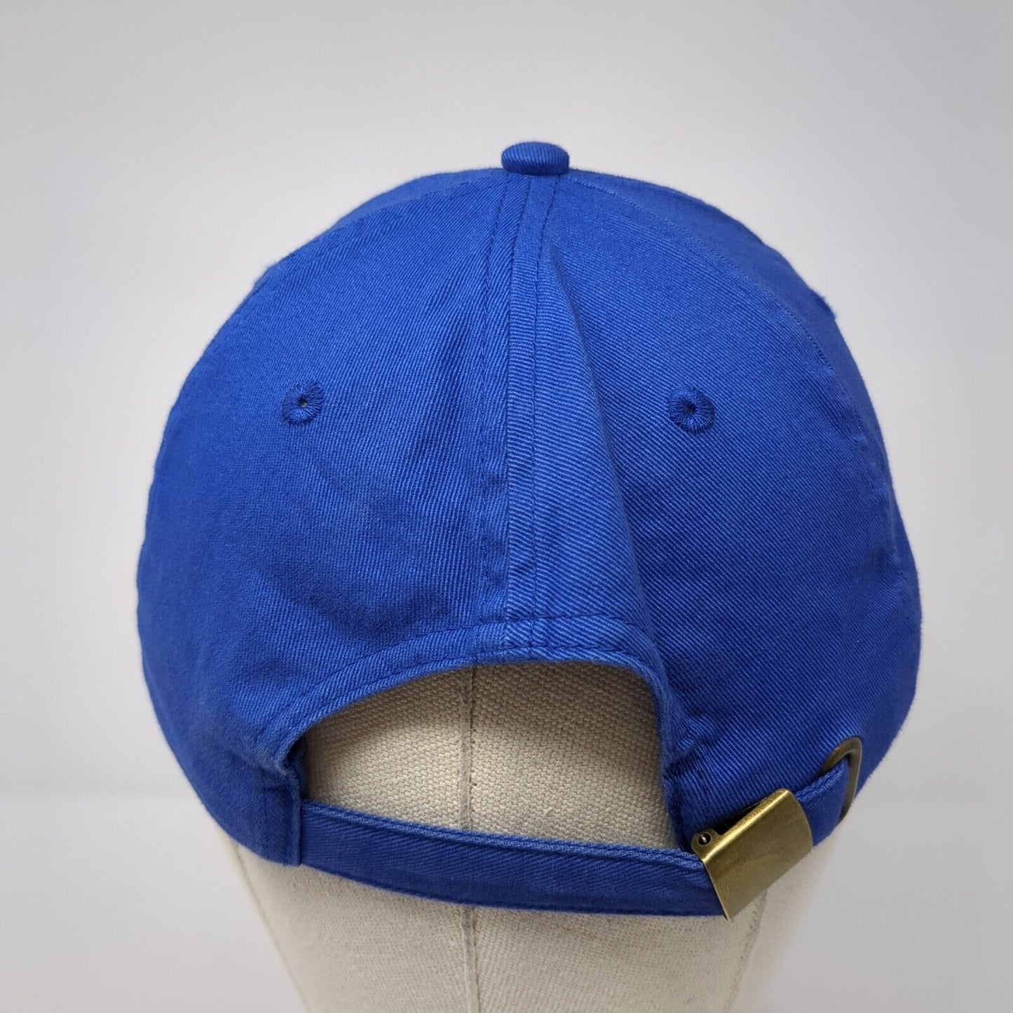 D-BASF We Create Chemistry Slideback Hat Blue One Size Adjustable K-Products