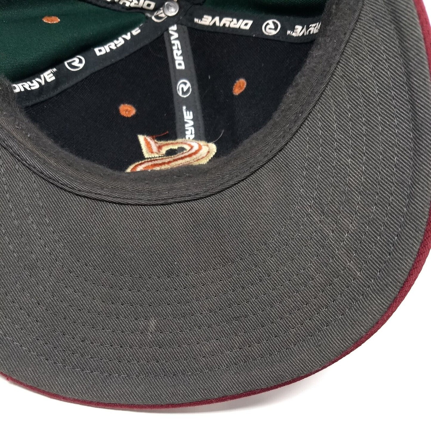 Letter S Lion Fitted Hat Multi 7 3/8 Embroidered Colorblock Richardson