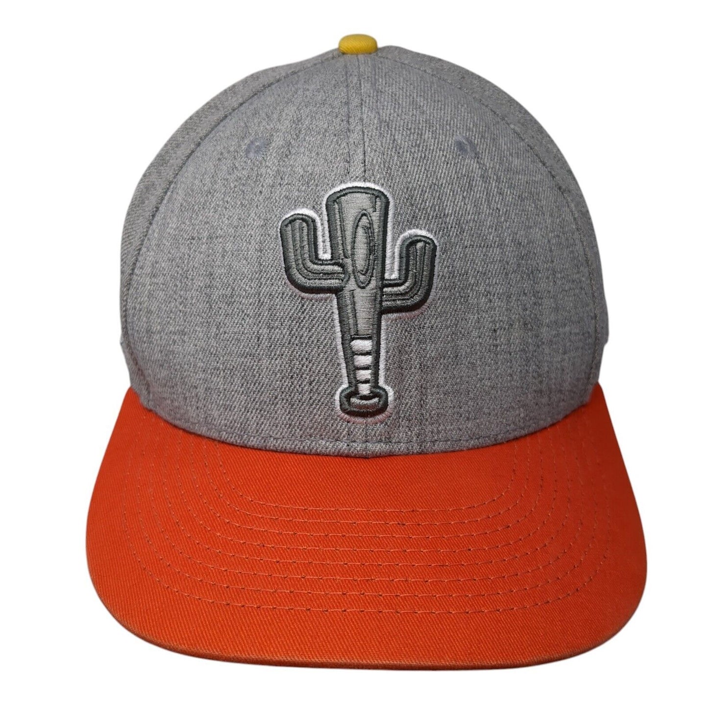 Baseballism Snapback Hat Gray Embroidered Limited Edition Spring 2020 Cactus