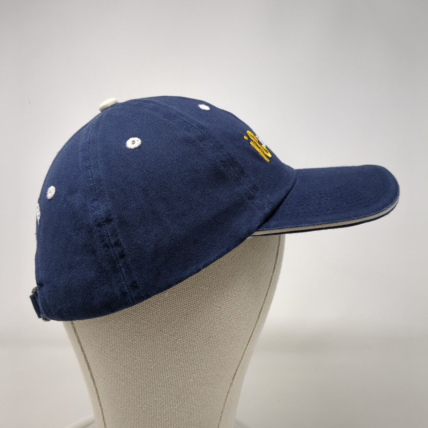 Ireland Bank Slideback Hat Blue One Size Embroidered Fahrenheit 6 Panel