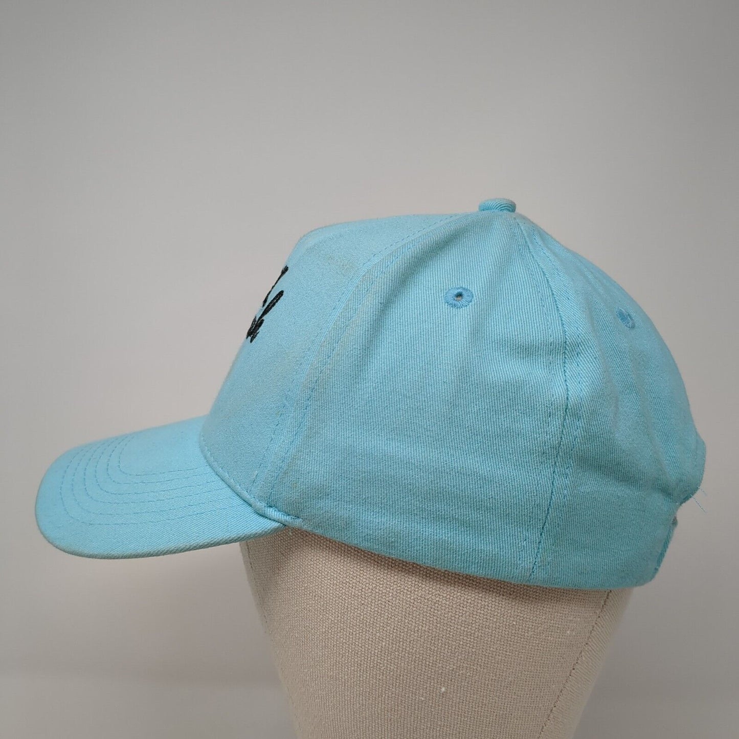 Flock Yeah Women's Strapback Hat Blue One Size Adjustable Embroidered