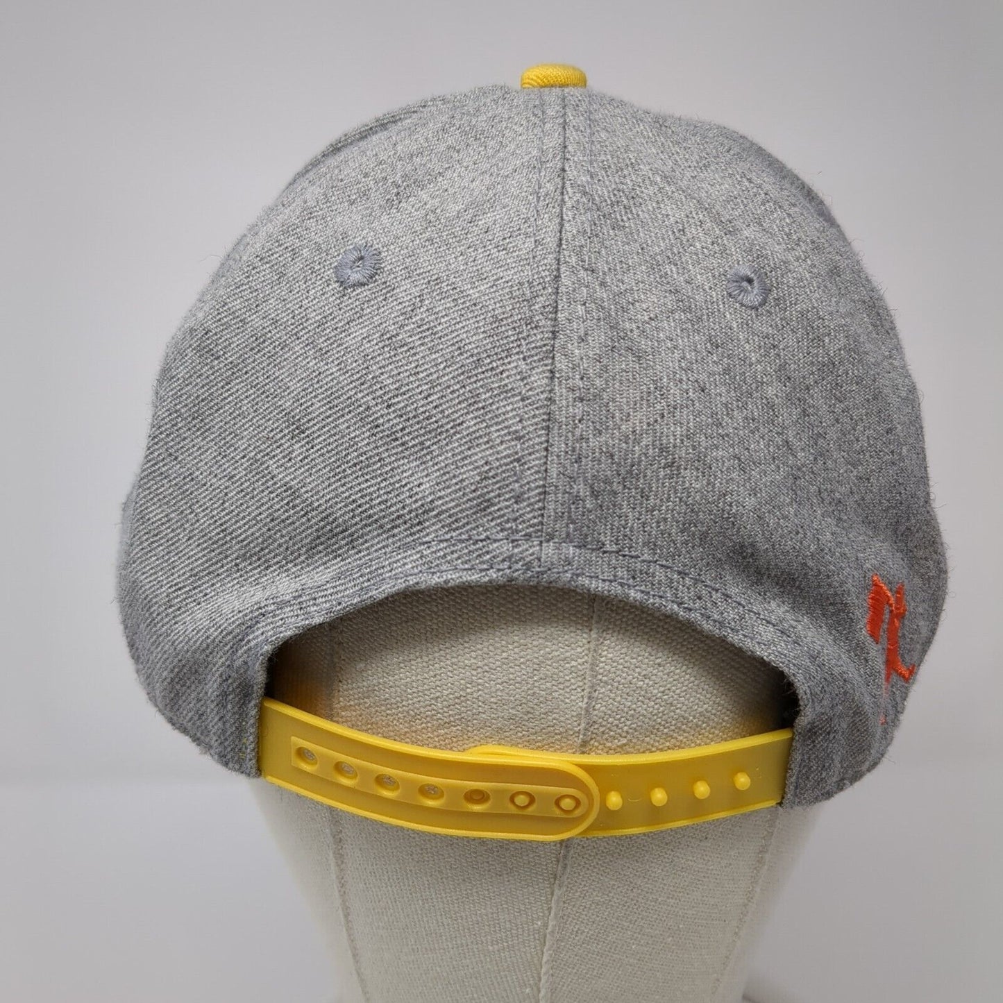 Baseballism Snapback Hat Gray Embroidered Limited Edition Spring 2020 Cactus
