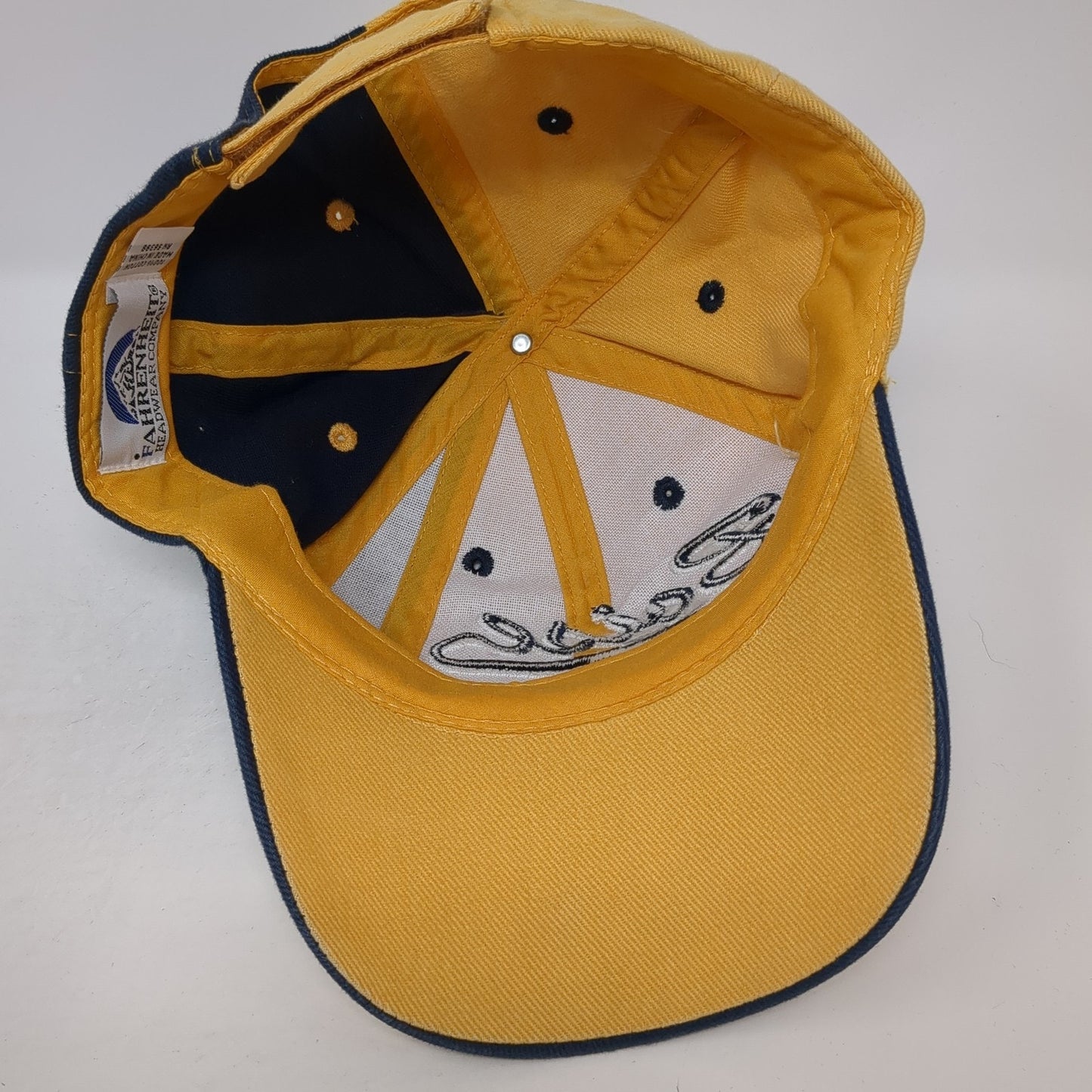 Boise Idaho Strapback Hat Multi One Size Embroidered Colorblock Fahrenheit