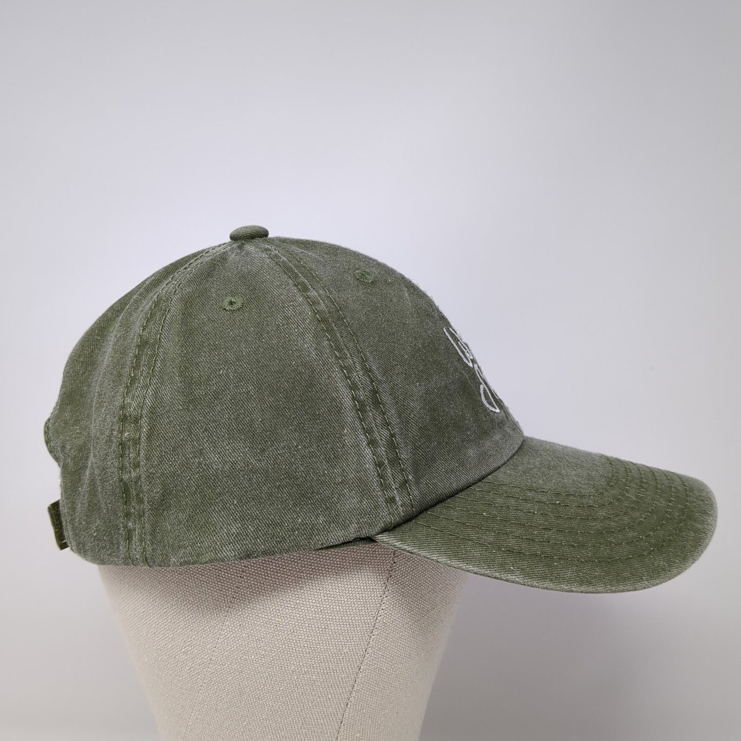 Well S*** Strapback Hat Green One Size Adjustable Embroidered Hit Wear