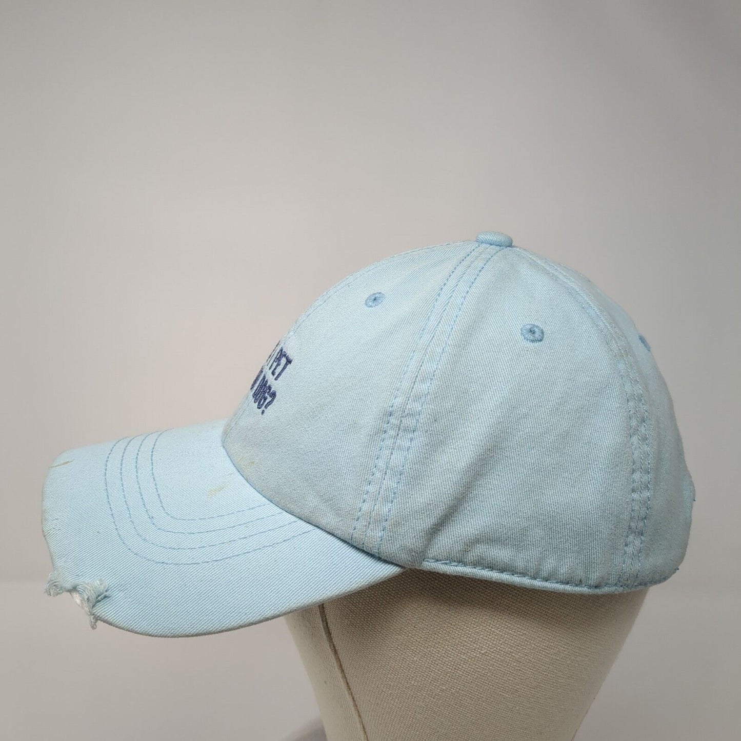 Can I Pet Your Dog? Slideback Hat Blue One Size Adjustable State Of Mine