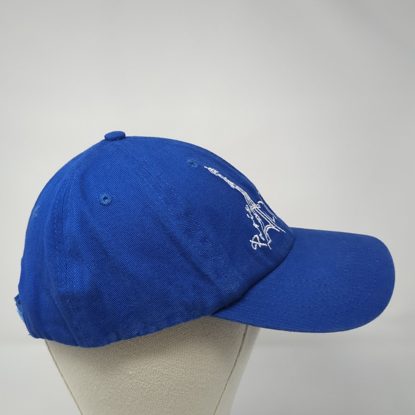 Paris Acti-Labs Strapback Baseball Cap Blue Large Adjustable Embroidered 6 Panel