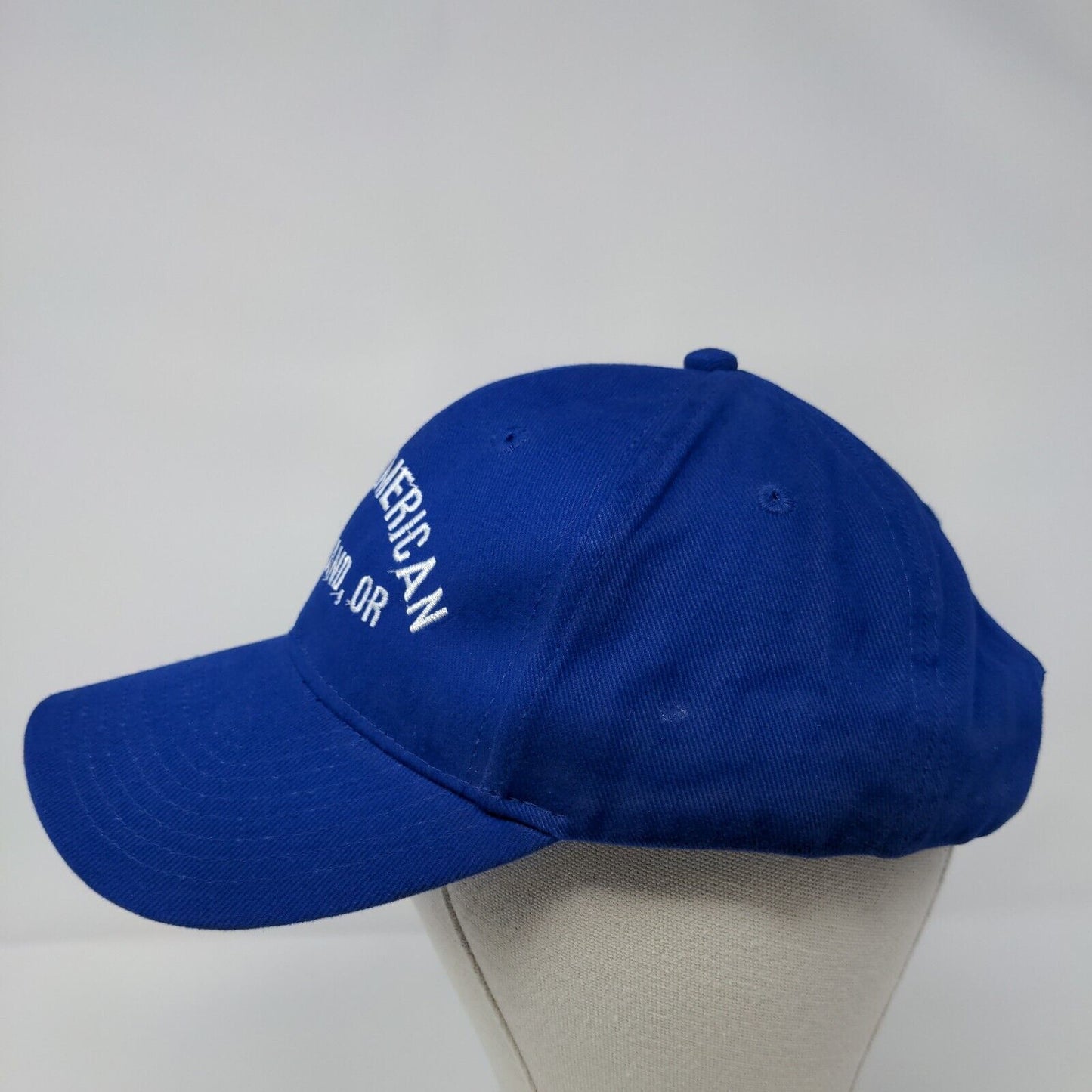 Aqua American Portland OR Strapback Hat Blue OSFM Otto Collection