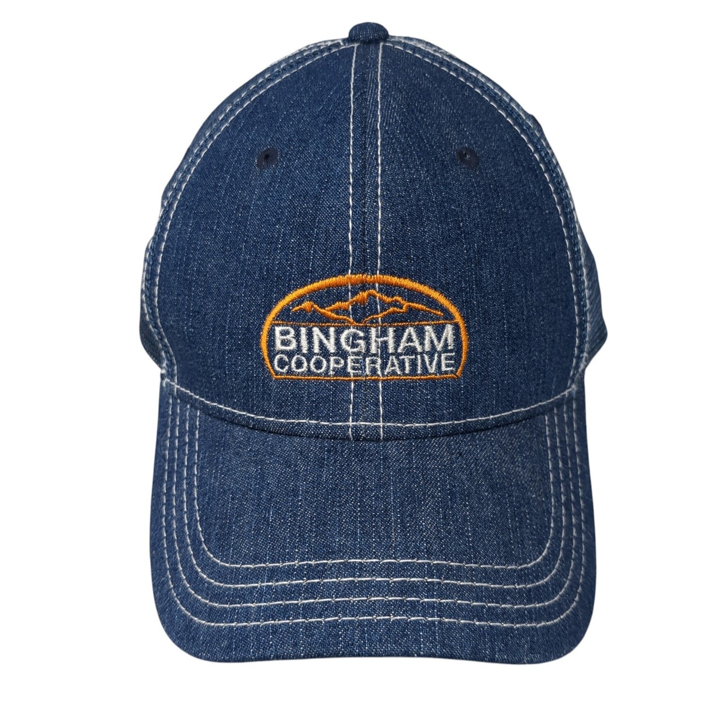 Bingham Cooperative Slideback Trucker Hat Blue OS Adjustable Embroidered Otto