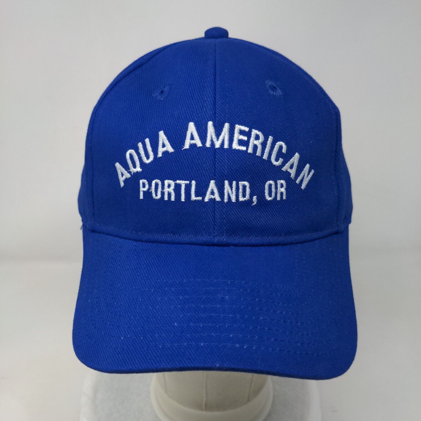 Aqua American Portland, OR Strapback Hat Blue OSFM Embroidered Otto