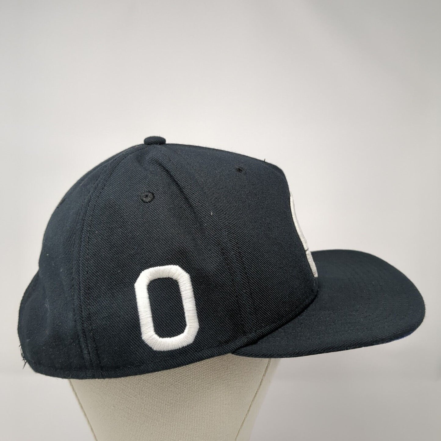 Nike Jordan Snapback Hat That's All Folks! Skull Looney Tunes Space Jam Jumpman